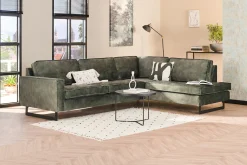 Mexico hoekbank forest